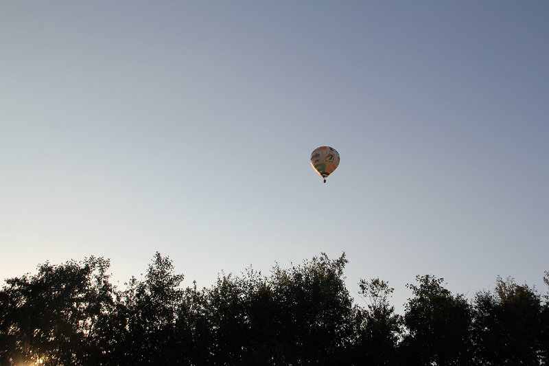 IMG_7993.JPG