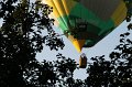 IMG_7975