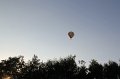 IMG_7993