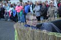 IMG_5818