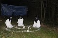 IMG_2764