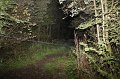 IMG_2783