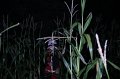 IMG_3036
