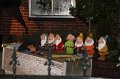 IMG_1114