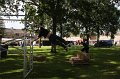IMG_1230