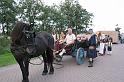 IMG_6243