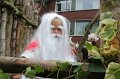 IMG_1595