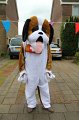 IMG_1649