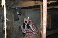 IMG_0961