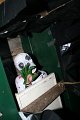 IMG_1012